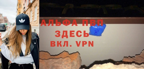 прущие грибы Покров