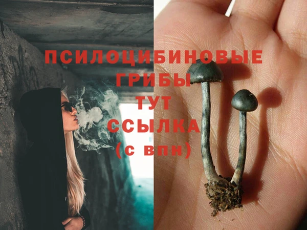 прущая мука Баксан