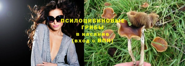 соль ск Балахна
