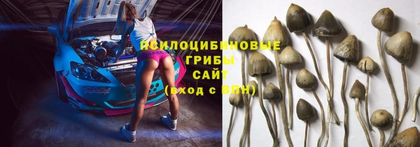 амф Пестово